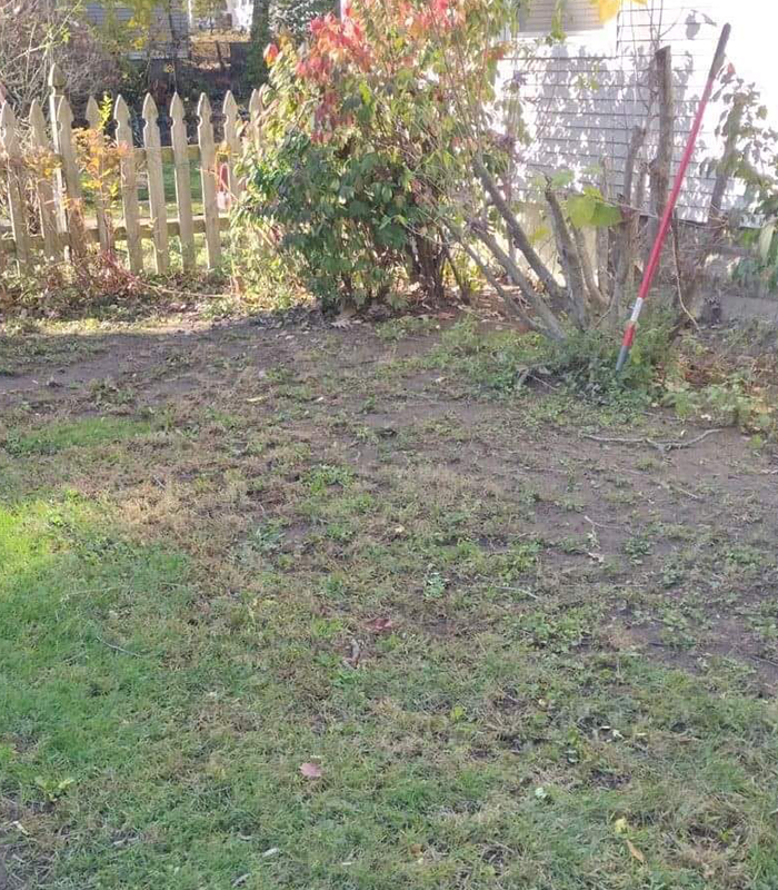 Jackson Michigan Lawn Care