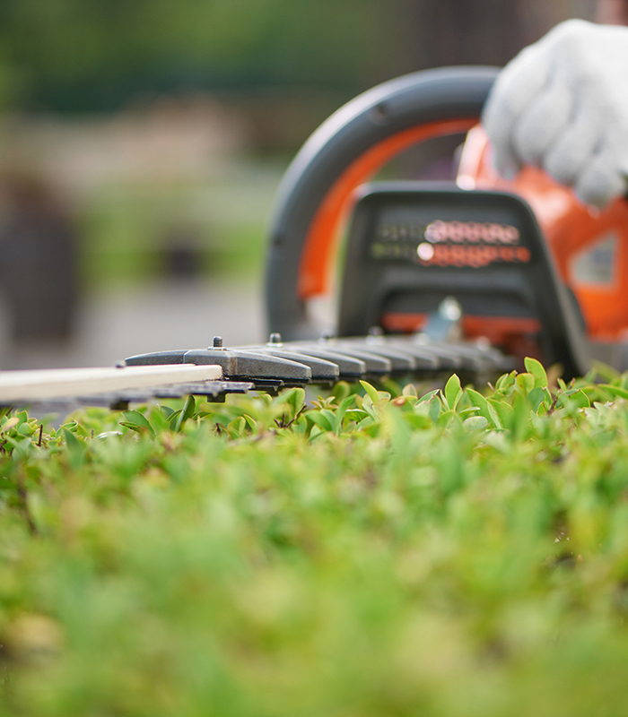 Jackson Michigan Lawn Care