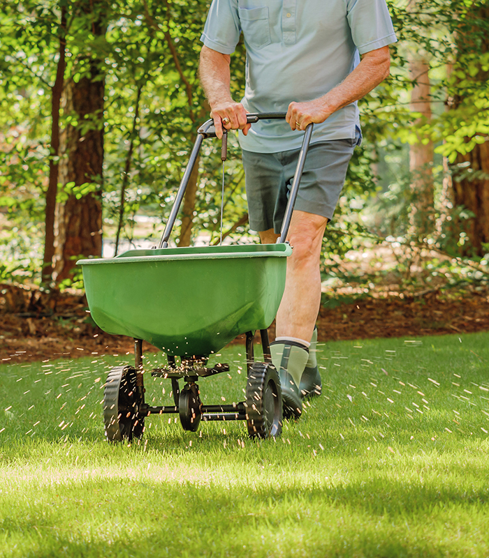 Jackson Michigan Lawn Care
