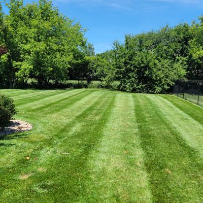 20220723 140443 Original