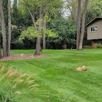 Img 20211002 191337 374